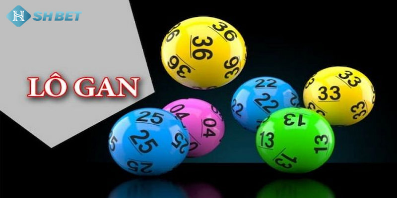 Banner www.hoclaixehaihau.com