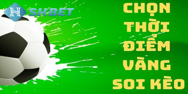 Banner www.hoclaixehaihau.com