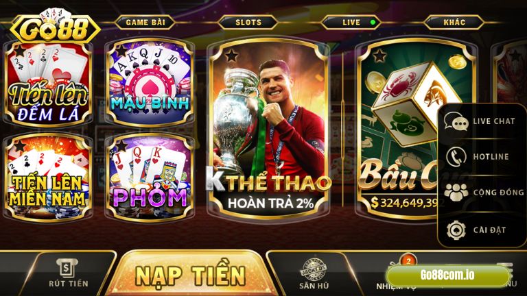 Banner www.hoclaixehaihau.com