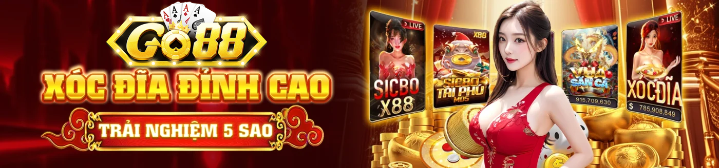 Banner www.hoclaixehaihau.com