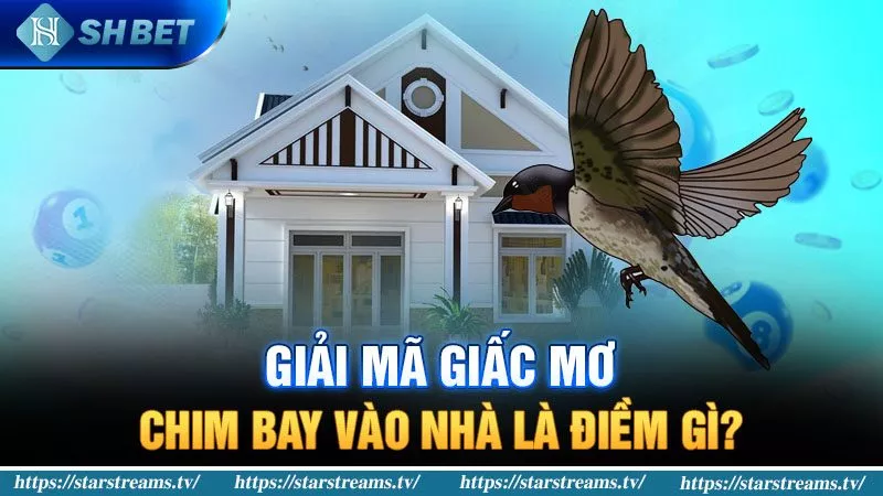 Banner www.hoclaixehaihau.com