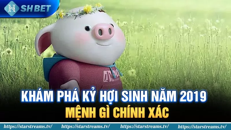 Banner www.hoclaixehaihau.com