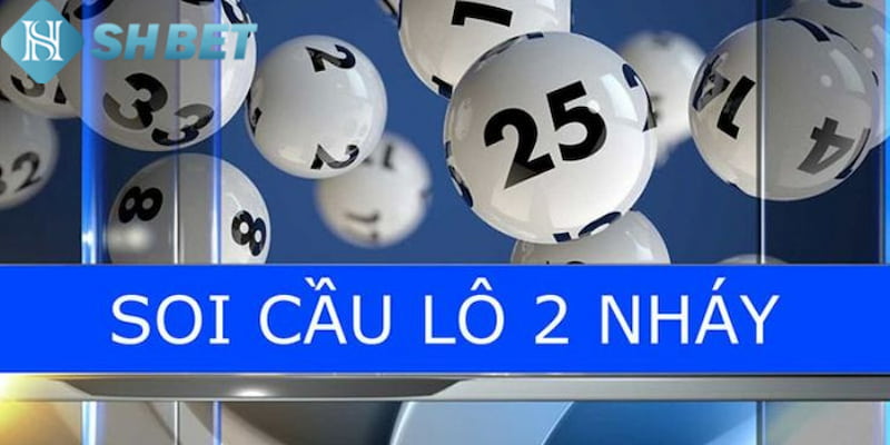 Banner www.hoclaixehaihau.com