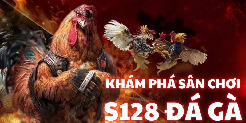 Banner www.hoclaixehaihau.com