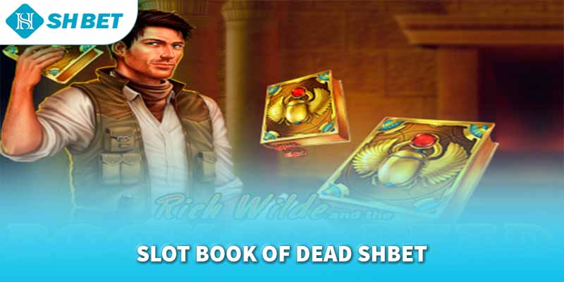 Banner www.hoclaixehaihau.com