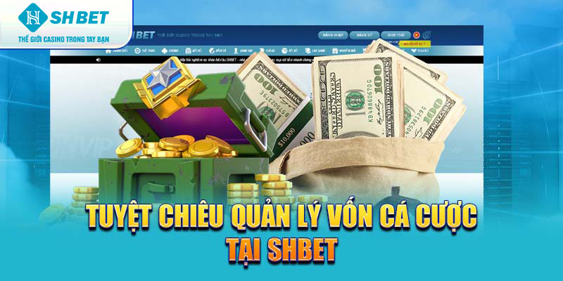 Banner www.hoclaixehaihau.com